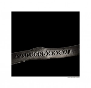 MDCCCLXXXXIII - DNA #1