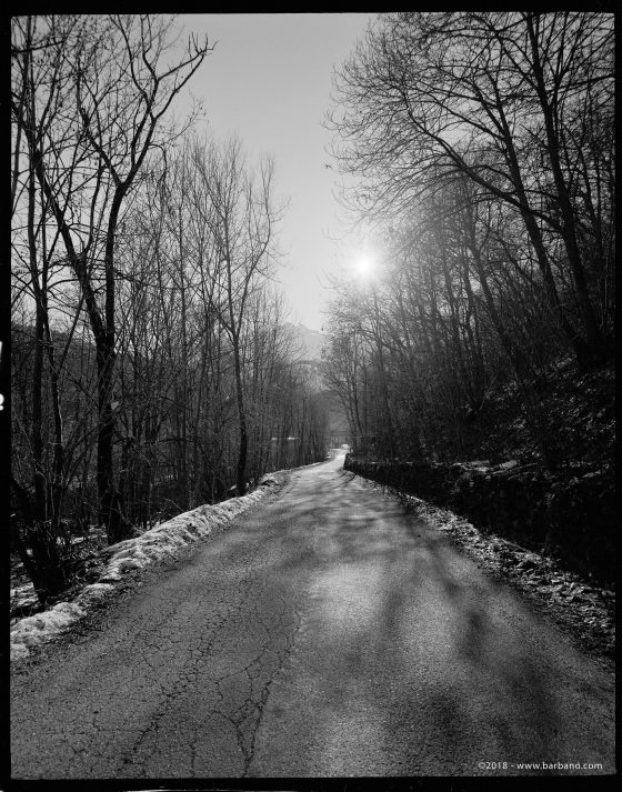 Digital Fuji Acros vs Ilford FP4 Film