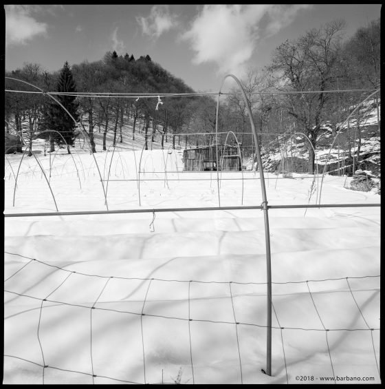 Fuji Acros Digital vs Fuji Acros Film