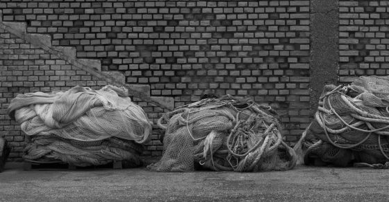 Black and White Tales, Print #17