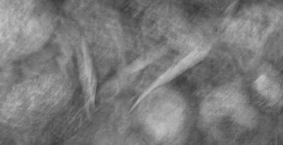 Black and White Tales, Print #21