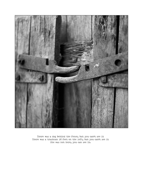 ferviva_SheIsNot3_02